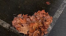 来看看那些上学时容易被你忽略的美